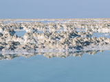 Mineral Rocks - Israel, Dead Sea Lámina fotográfica