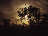 Silhouette of Tree with Beautiful Sunset Photographic Print