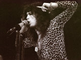 Steve Tyler Lead Singer of the Band Aerosmith in Concert at Pontiac Stadium, Detroit, USA, May 1976 Fotografisk tryk Steve Tyler Lead Singer of the Band Aerosmith in Concert at Pontiac Stadium, Detroit, USA, May 1976 Fotografisk tryk