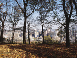 Calm Trees in a City Photographic Print