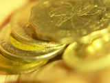 Pile of International Gold Coins Photographic Print