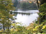 View of Lake Through Tree Branches Photographic Print