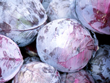 Pile of Purple Cabbages Photographic Print