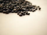 Pile of Coffee Beans Photographic Print