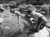 Group of Children Fishing with Nets in a Country Stream Photographie