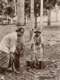 Woman and Young Boy Tap Rubber Trees in Malaya and Collect the Sap in Buckets Photographic Print