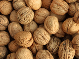 Walnuts Photographic Print
