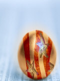 Golden Egg Resting on Financial Section Lámina fotográfica Golden Egg Resting on Financial Section Lámina fotográfica