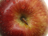 Close-up of a Juicy Red Apple with Shiny Water Droplets Photographic Print