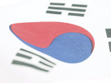 South Korean Flag Photographic Print