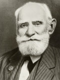 Ivan Petrovich Pavlov Russian Physiologist - Fotografik Baskı