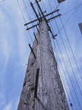 Pole Photographic Print
