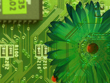 Computer Board with Flower Fotografická reprodukce Computer Board with Flower Fotografická reprodukce