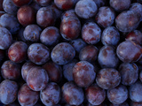 Blueberries Photographic Print