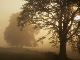 Matin d'automne, près de Dryman, Stirling, Ecosse Photographie