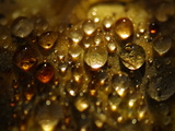 Water Droplets Photographic Print