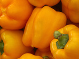 Bell Peppers Photographic Print