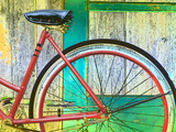 Bicycle Seat and Wheel Against a Barn Wall Lámina fotográfica Bicycle Seat and Wheel Against a Barn Wall Lámina fotográfica