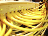 Close-up of Yellow Elecontric Computer Plugs Photographic Print