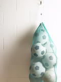 Net of Soccer Balls on Gym Wall Photographic Print