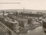 The South Yard of Harland and Wolff's Shipyards Belfast Photographic Print
