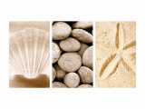 Beach Patterns Triptych Prints