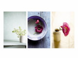Zen Blossoms Triptych Posters