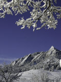 Winterscene of the Flatirons in Boulder, Colorado Posters by Dörte Pietron