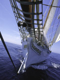 Sailboat, Ticonderoga Race Posters by Michael Brown