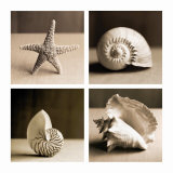 Sea Shells Four Patch Plakát