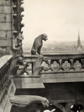 Detail of One of the Two Terraces with Monstrous Figures, Cathedral of Notre-Dame, Paris Photographic Print