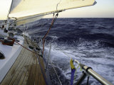 Sailboat in Rough Water, Ticonderoga Race Plakaty autor Michael Brown