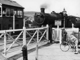The Cambrian Coast Express Steam Locomotive Train at Llanbadarn Crossing Near Aberystwyth Wales Lámina fotográfica The Cambrian Coast Express Steam Locomotive Train at Llanbadarn Crossing Near Aberystwyth Wales Lámina fotográfica