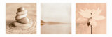 Zen Nature Triptych Poster
