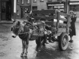 Small Boy Waits Patiently on a Donkey Cart in the Market Place at Kildare Co Kildare Ireland Photographic Print