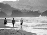 Surf's Up II Photographic Print by Paul Whitfield