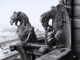 Detail of Two Monstrous Figures Located on a Terrace in the Cathedral of Notre-Dame, Paris Photographic Print