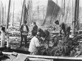 Fishermen Overhaul the Nets on Their Boats at Scarborough Yorkshire Photographic Print by Graystone Bird