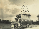 WWI: Soldiers Setting Free Some Carrier Pigeons, Northern France Photographic Print