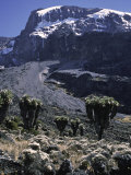 Desert Landscape with Mountain View, Kilimanjaro Photo by Michael Brown