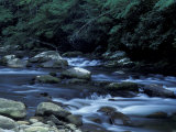 The Little River, Great Smoky Mountains National Park, Tennessee, USA Photographic Print by William Sutton