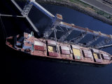 Freighter Being Loaded with Wheat, Elliott Bay Grain Terminal, Seattle, Washington, USA Photographic Print by William Sutton