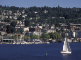 View of Lake Union and Capitol Hill Neighborhood, Seattle, Washington, USA Photographic Print by Connie Ricca