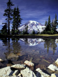 Mt. Rainier Reflected in Tarn, Mt. Rainier National Park, Washington, USA Photographic Print by Jamie & Judy Wild