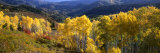 View Down Nebo Creek Drainage, Wasatch Mountains, Uinta National Forest, Utah, USA Photographic Print by Scott T. Smith