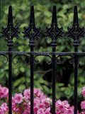 Wrought Iron Gate with Azaleas, Charleston, South Carolina, USA Photographie par Adam Jones