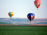 Colorful Hot Air Balloons Float over a Wheat Field in Walla Walla, Washington, USA Photographic Print by William Sutton