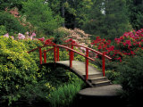 Red Bridge in Springtime, Koybota Gardens, Seattle, Washington, USA Photographic Print by Darrell Gulin