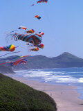 Kites Flying on the Oregon Coast, USA Photographic Print by Janis Miglavs