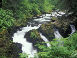 Sol Duc Falls, Olympic Rainforest, Olympic National Park, Washington, USA Photographic Print by Adam Jones